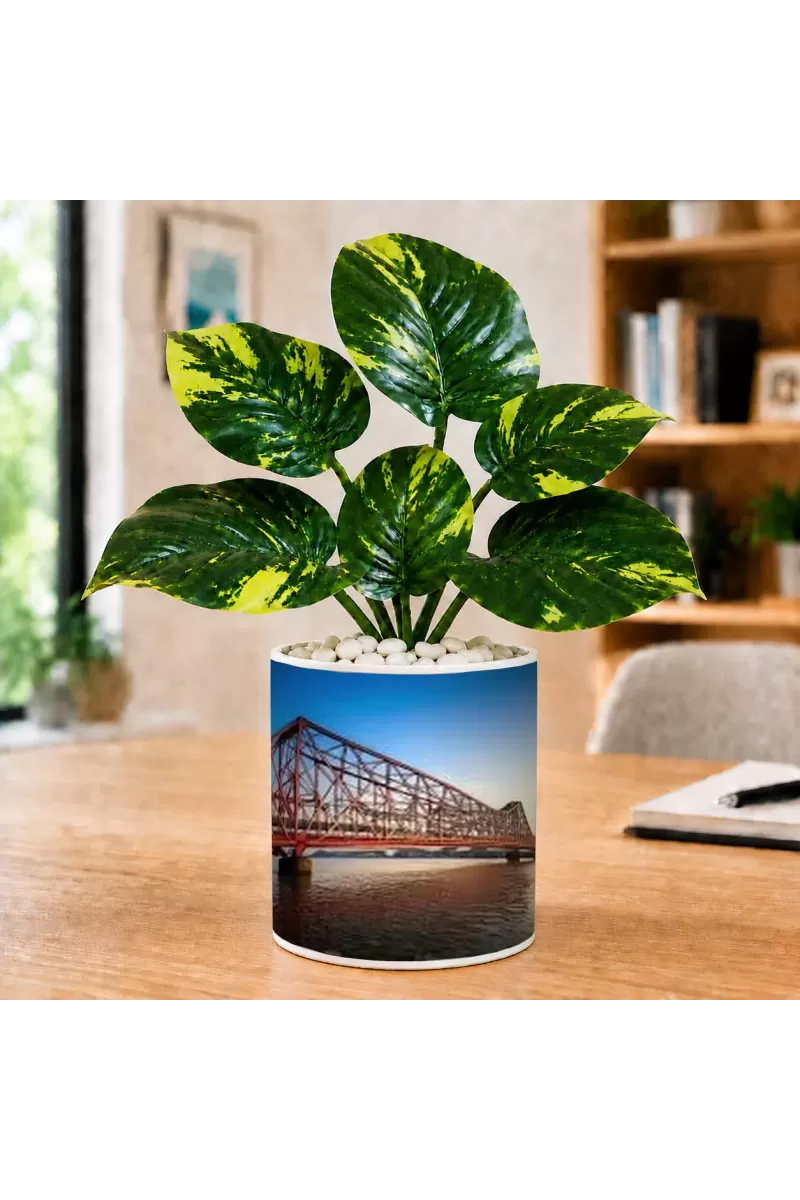 Artificial Tree Ceramic Photo Pot With White Stones 3x4 Inch (F166060)