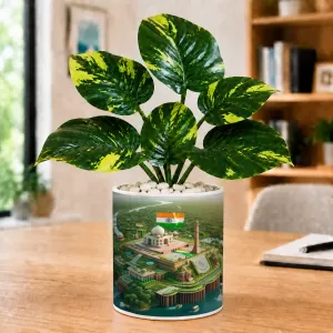 Artificial Tree Ceramic Photo Pot With White Stones 3x4 Inch (F166061) Artificial Tree Ceramic Photo Pot With White Stones 3x4 Inch (F166061)
