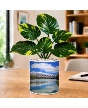 Artificial Tree Ceramic Photo Pot With White Stones 3x4 Inch (F166084)