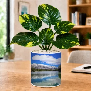 Artificial Tree Ceramic Photo Pot With White Stones 3x4 Inch (F166084) Artificial Tree Ceramic Photo Pot With White Stones 3x4 Inch (F166084)