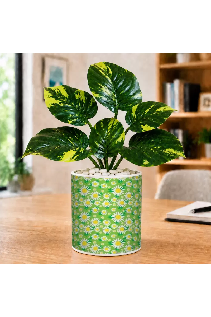 Artificial Tree Ceramic Photo Pot With White Stones 3x4 Inch (F166094)