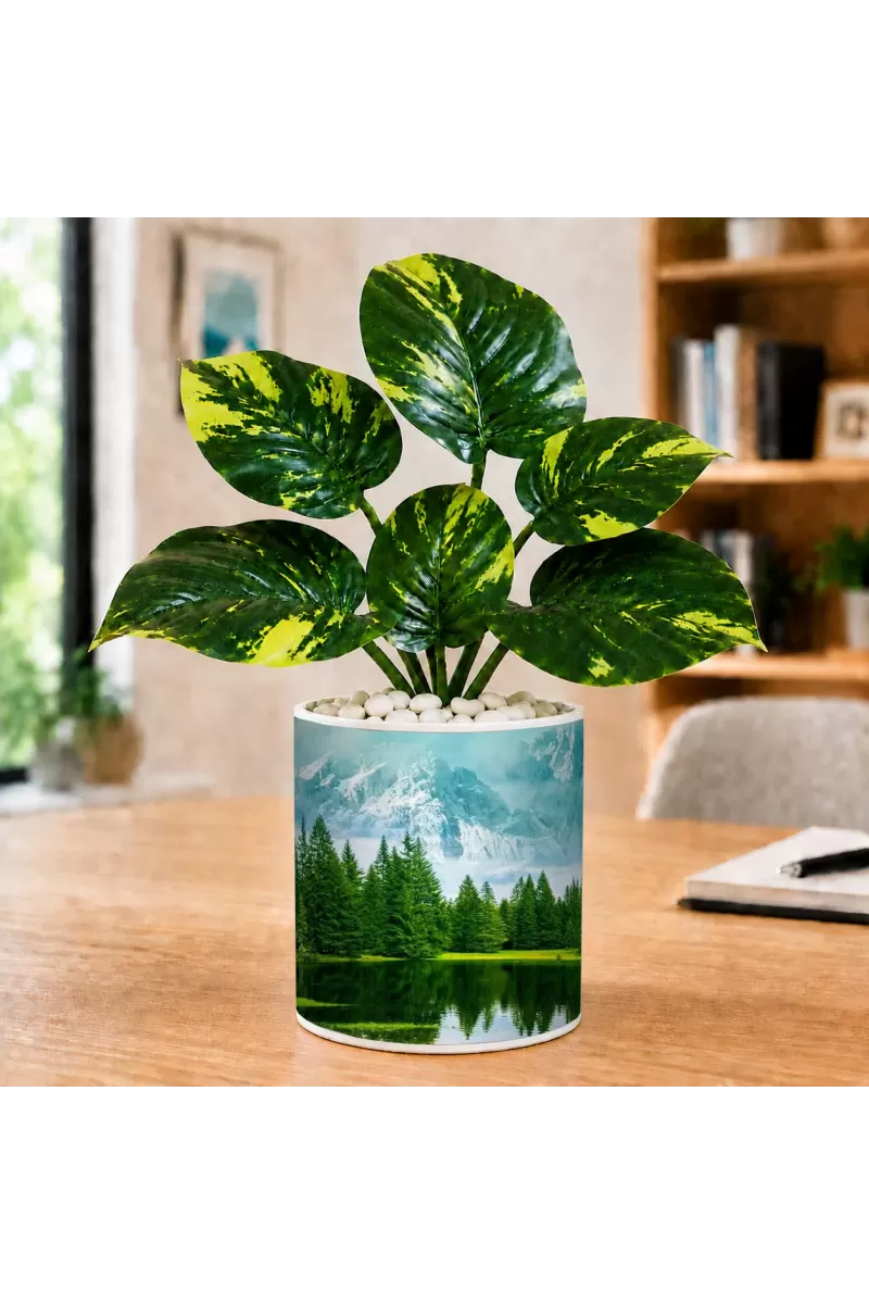 Artificial Tree Ceramic Photo Pot With White Stones 3x4 Inch (F166099)