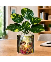 Artificial Tree Ceramic Photo Pot With White Stones 3x4 Inch (F166108)