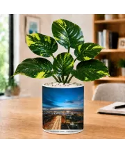 Artificial Tree Ceramic Photo Pot With White Stones 3x4 Inch (F166126)