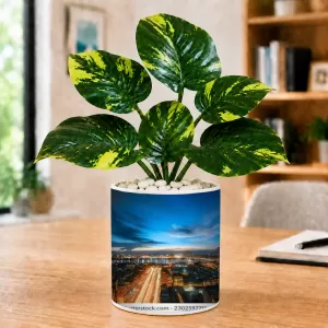 Artificial Tree Ceramic Photo Pot With White Stones 3x4 Inch (F166126) Artificial Tree Ceramic Photo Pot With White Stones 3x4 Inch (F166126)