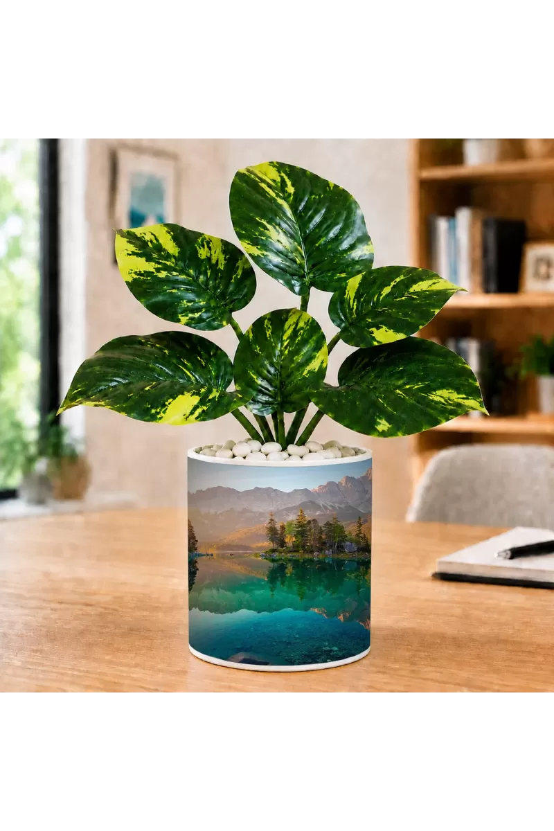 Artificial Tree Ceramic Photo Pot With White Stones 3x4 Inch (F166129)