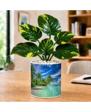 Artificial Tree Ceramic Photo Pot With White Stones 3x4 Inch (F166131)