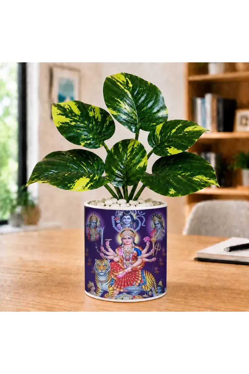 Artificial Tree Ceramic Photo Pot With White Stones 3x4 Inch (F166138)