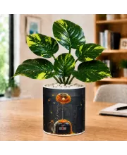 Artificial Tree Ceramic Photo Pot With White Stones 3x4 Inch (F166146)