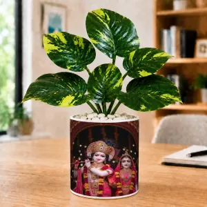 Artificial Tree Ceramic Photo Pot With White Stones 3x4 Inch (F166155) Artificial Tree Ceramic Photo Pot With White Stones 3x4 Inch (F166155)