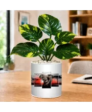 Artificial Tree Ceramic Photo Pot With White Stones 3x4 Inch (F166157)