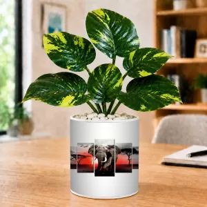 Artificial Tree Ceramic Photo Pot With White Stones 3x4 Inch (F166157) Artificial Tree Ceramic Photo Pot With White Stones 3x4 Inch (F166157)