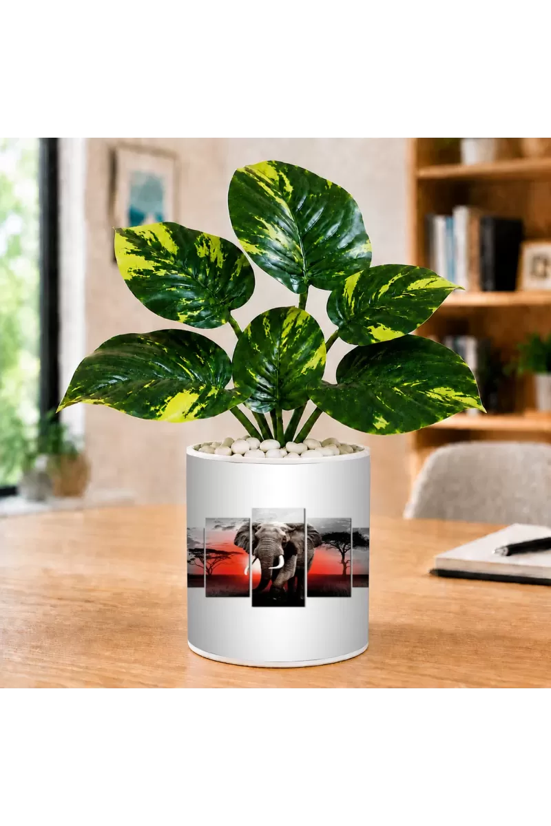 Artificial Tree Ceramic Photo Pot With White Stones 3x4 Inch (F166157)