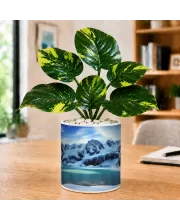 Artificial Tree Ceramic Photo Pot With White Stones 3x4 Inch (F166161)