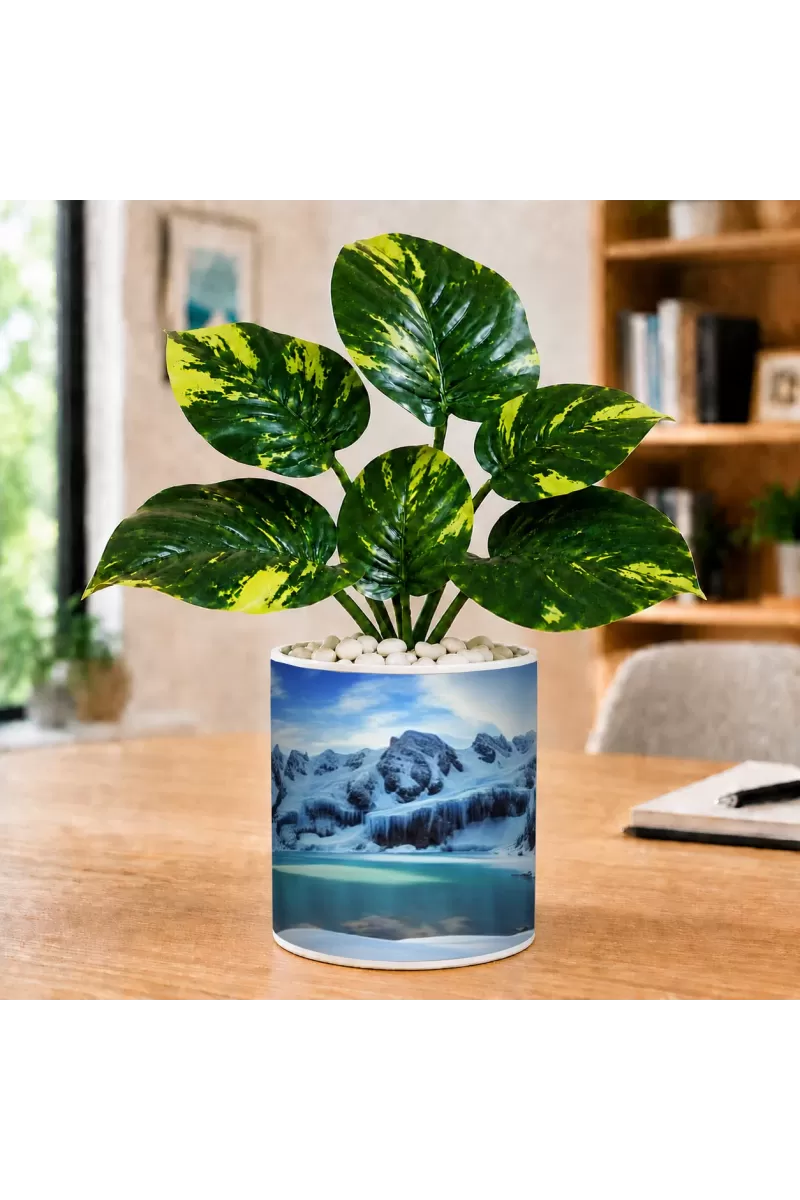Artificial Tree Ceramic Photo Pot With White Stones 3x4 Inch (F166161)