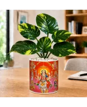 Artificial Tree Ceramic Photo Pot With White Stones 3x4 Inch (F166165)