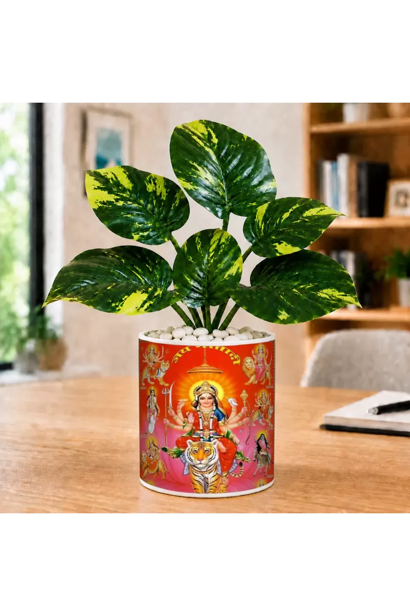Artificial Tree Ceramic Photo Pot With White Stones 3x4 Inch (F166165)