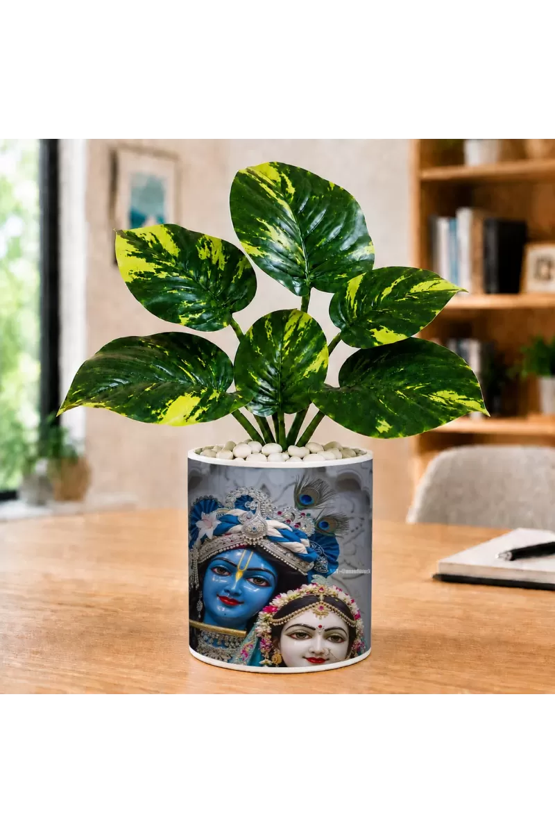 Artificial Tree Ceramic Photo Pot With White Stones 3x4 Inch (F166172)
