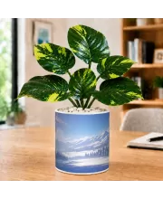 Artificial Tree Ceramic Photo Pot With White Stones 3x4 Inch (F166178)
