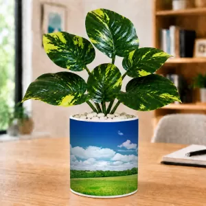 Artificial Tree Ceramic Photo Pot With White Stones 3x4 Inch (F166179) Artificial Tree Ceramic Photo Pot With White Stones 3x4 Inch (F166179)
