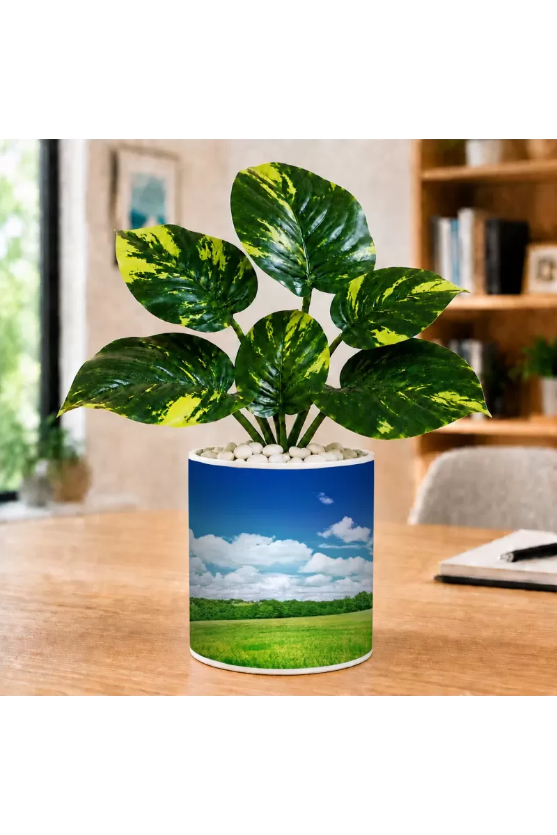 Artificial Tree Ceramic Photo Pot With White Stones 3x4 Inch (F166179)