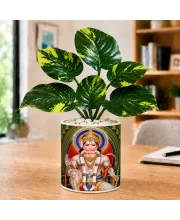 Artificial Tree Ceramic Photo Pot With White Stones 3x4 Inch (F166196)