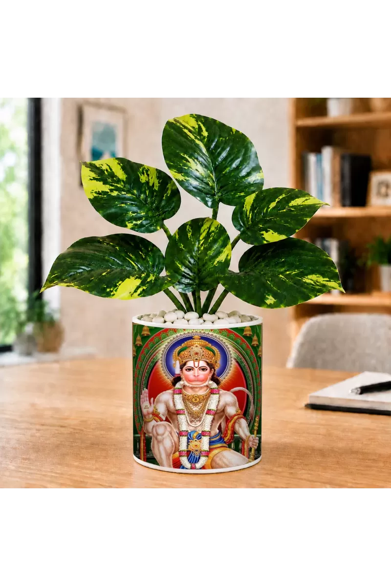 Artificial Tree Ceramic Photo Pot With White Stones 3x4 Inch (F166196)