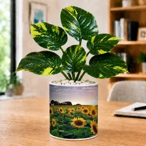 Artificial Tree Ceramic Photo Pot With White Stones 3x4 Inch (F166199)