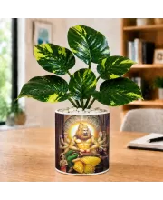 Artificial Tree Ceramic Photo Pot With White Stones 3x4 Inch (F166202)