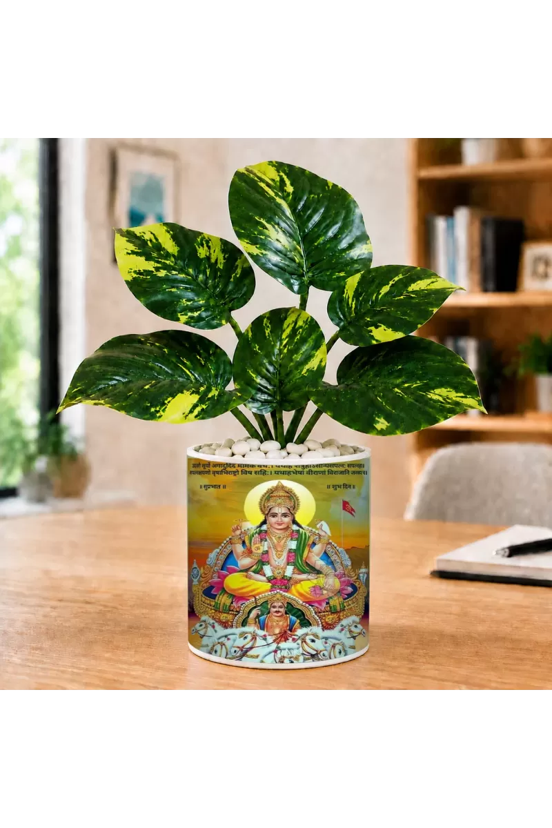 Artificial Tree Ceramic Photo Pot With White Stones 3x4 Inch (F166211)