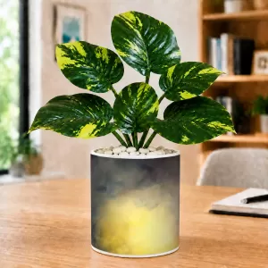 Artificial Tree Ceramic Photo Pot With White Stones 3x4 Inch (F166212)