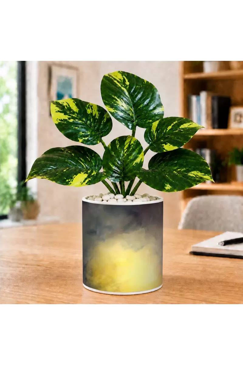 Artificial Tree Ceramic Photo Pot With White Stones 3x4 Inch (F166212)