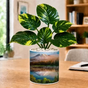 Artificial Tree Ceramic Photo Pot With White Stones 3x4 Inch (F166222) Artificial Tree Ceramic Photo Pot With White Stones 3x4 Inch (F166222)