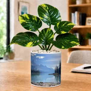 Artificial Tree Ceramic Photo Pot With White Stones 3x4 Inch (F166223) Artificial Tree Ceramic Photo Pot With White Stones 3x4 Inch (F166223)
