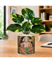 Artificial Tree Ceramic Photo Pot With White Stones 3x4 Inch (F166234)