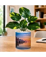 Artificial Tree Ceramic Photo Pot With White Stones 3x4 Inch (F166240)