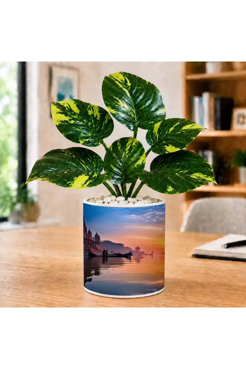 Artificial Tree Ceramic Photo Pot With White Stones 3x4 Inch (F166240)