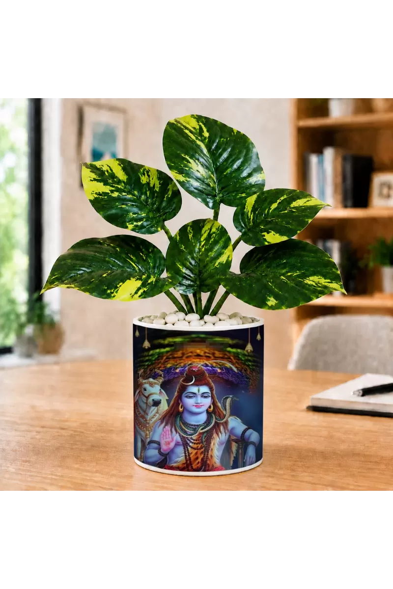 Artificial Tree Ceramic Photo Pot With White Stones 3x4 Inch (F166241)