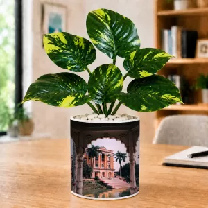 Artificial Tree Ceramic Photo Pot With White Stones 3x4 Inch (F166260)