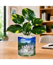 Artificial Tree Ceramic Photo Pot With White Stones 3x4 Inch (F166273)