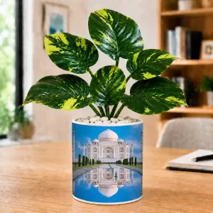 Artificial Tree Ceramic Photo Pot With White Stones 3x4 Inch (F166283)