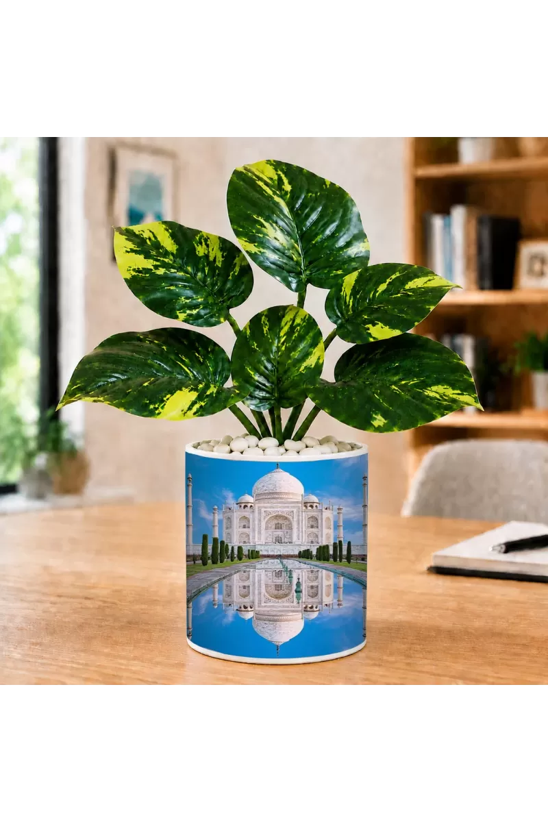 Artificial Tree Ceramic Photo Pot With White Stones 3x4 Inch (F166283)