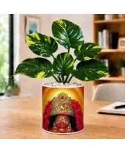 Artificial Tree Ceramic Photo Pot With White Stones 3x4 Inch (F166285)