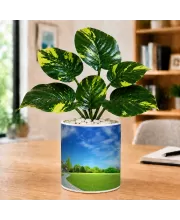 Artificial Tree Ceramic Photo Pot With White Stones 3x4 Inch (F166288)