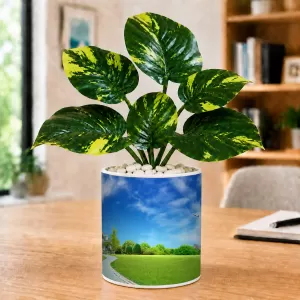 Artificial Tree Ceramic Photo Pot With White Stones 3x4 Inch (F166288) Artificial Tree Ceramic Photo Pot With White Stones 3x4 Inch (F166288)