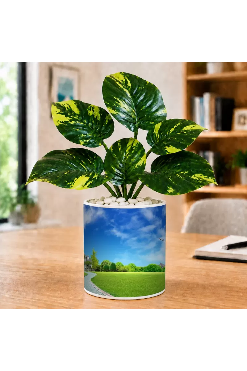 Artificial Tree Ceramic Photo Pot With White Stones 3x4 Inch (F166288)
