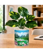 Artificial Tree Ceramic Photo Pot With White Stones 3x4 Inch (F166294)