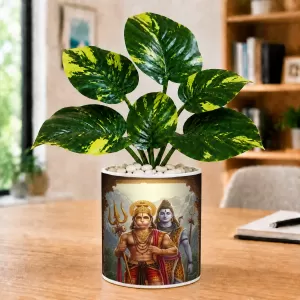 Artificial Tree Ceramic Photo Pot With White Stones 3x4 Inch (F166304) Artificial Tree Ceramic Photo Pot With White Stones 3x4 Inch (F166304)