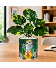 Artificial Tree Ceramic Photo Pot With White Stones 3x4 Inch (F166305)