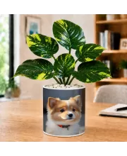 Artificial Tree Ceramic Photo Pot With White Stones 3x4 Inch (F166308)